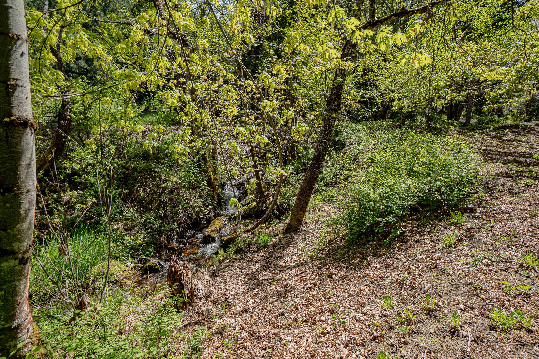 3200 Anderson Creek Road Talent, OR 97540 - Photo 58 of 69 DSC00908-HDR