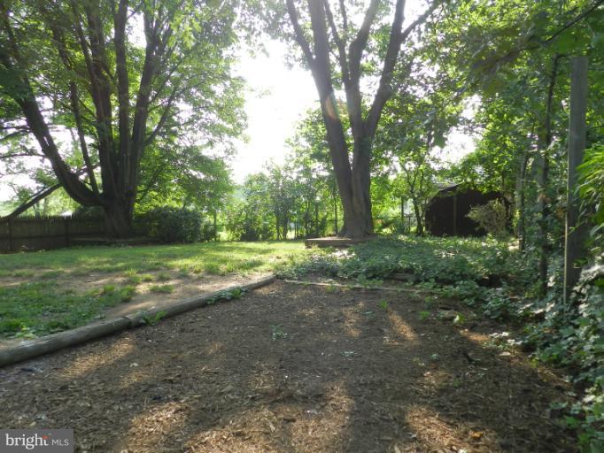 3513 Greenly Street Silver Spring, MD 20906 - Photo 10 of 12 a view of a yard with green space
