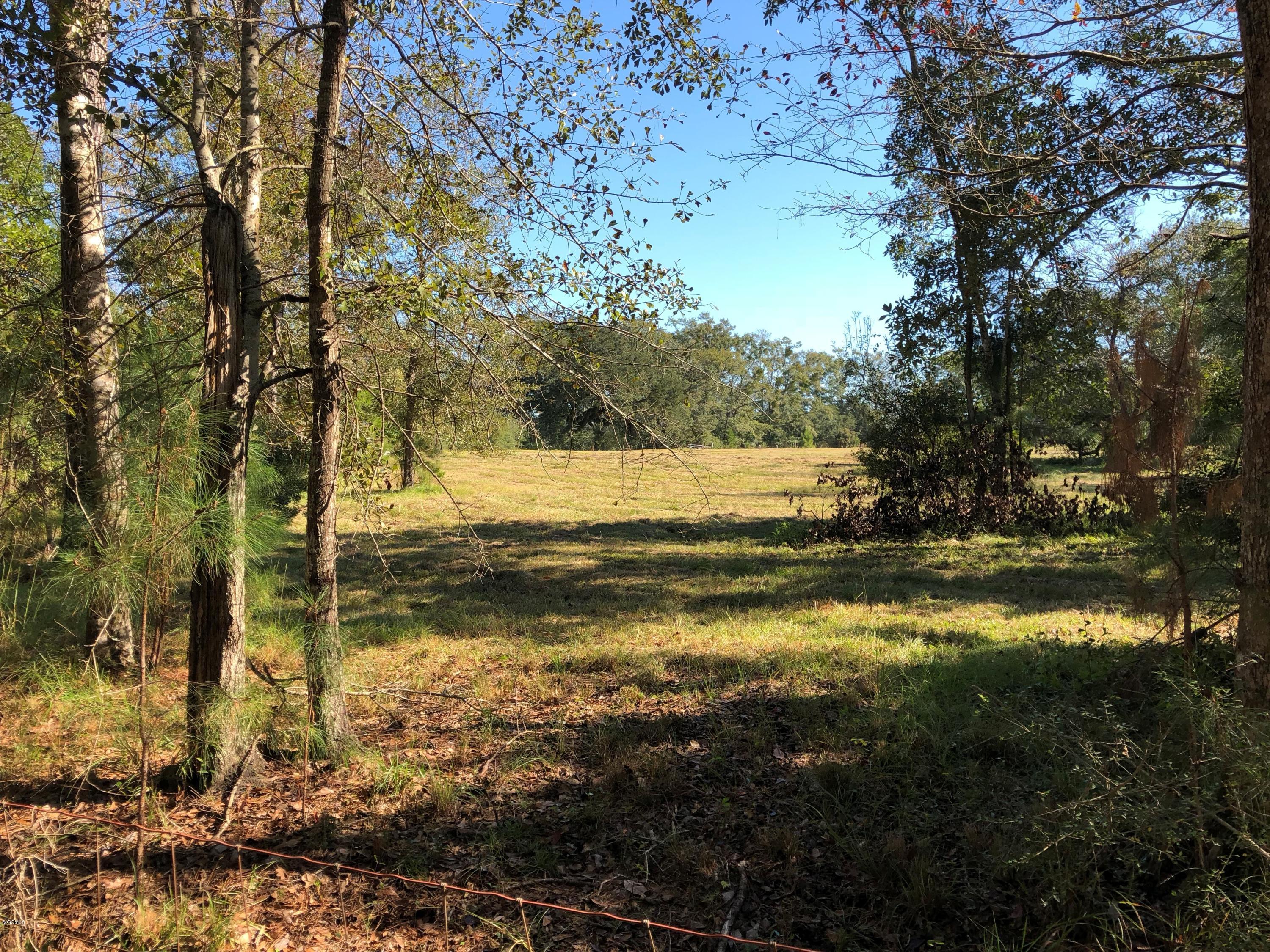 4045 Dogpatch Road Kiln, MS 39556 - Photo 26 of 65 IMG_4567