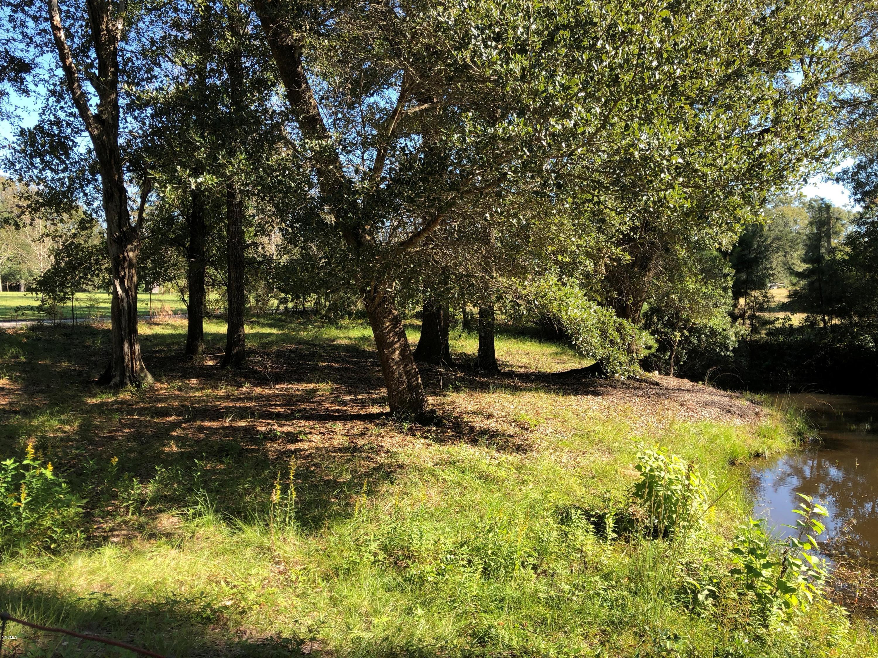 4045 Dogpatch Road Kiln, MS 39556 - Photo 29 of 65 IMG_4566