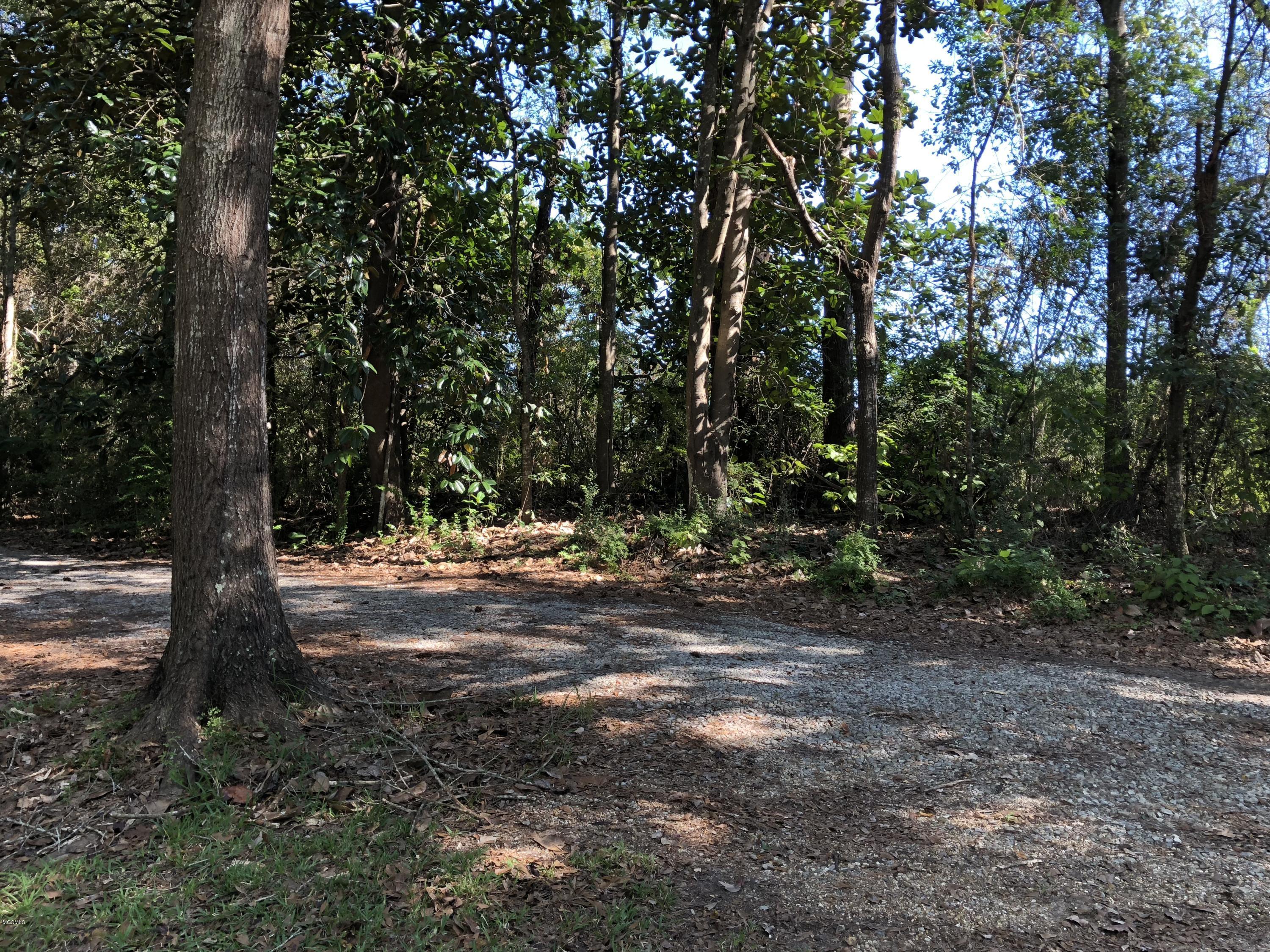 4045 Dogpatch Road Kiln, MS 39556 - Photo 39 of 65 IMG_4597