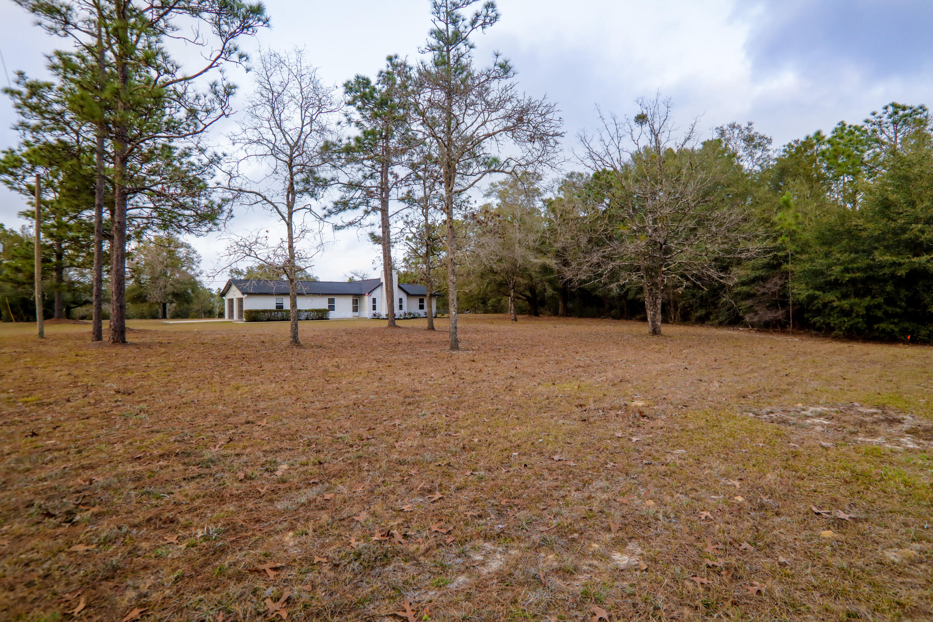 5842 Old Bethel Road Crestview, FL 32536 - Photo 17 of 18 a view of outdoor space with garden view
