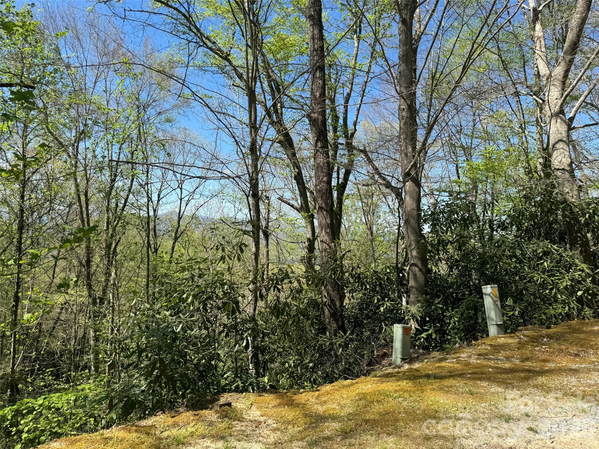 33 Reserve Road, Unit 33 Pisgah Forest, NC 28768 - Photo 11 of 15