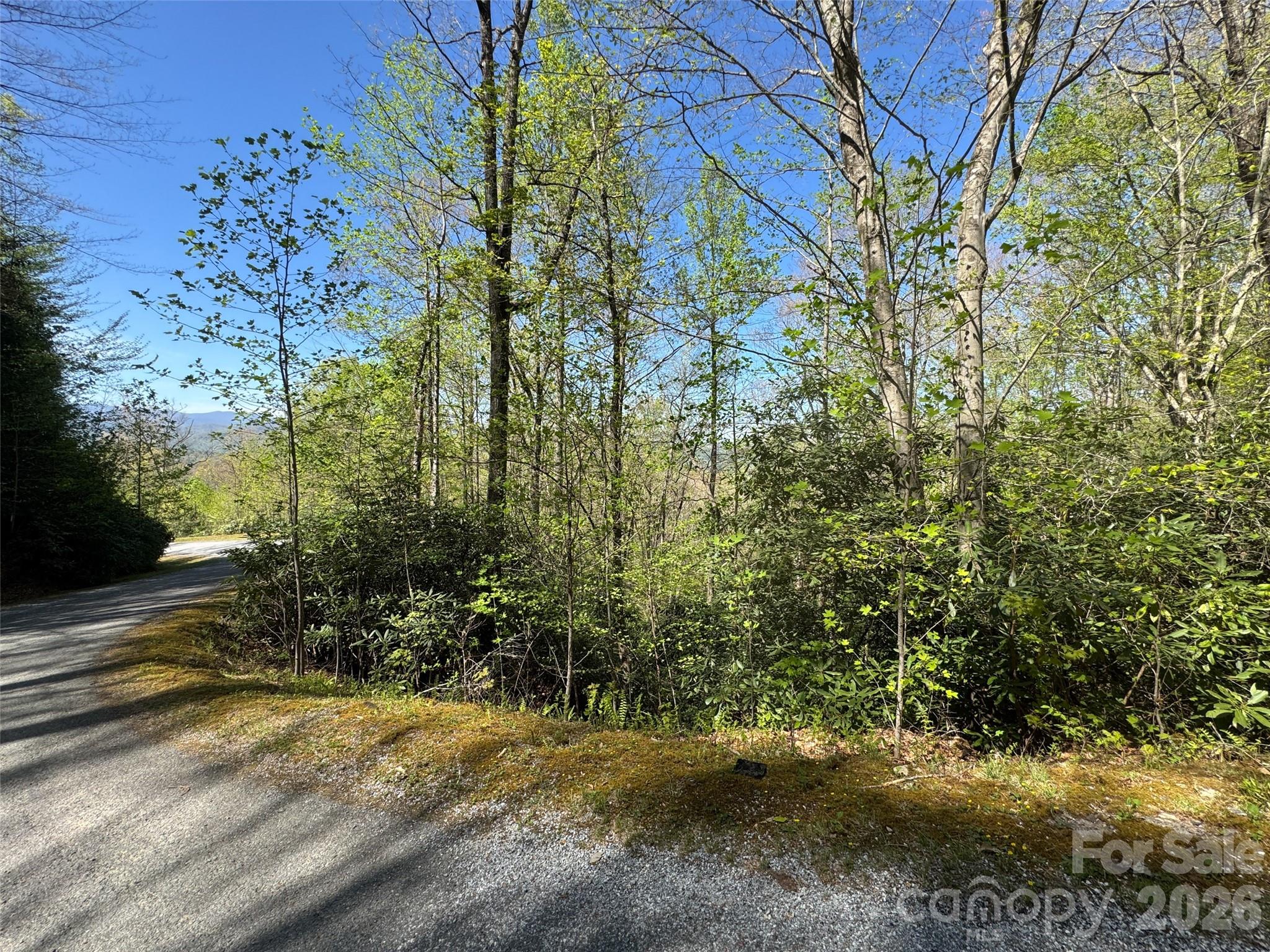 33 Reserve Road, Unit 33 Pisgah Forest, NC 28768 - Photo 12 of 15