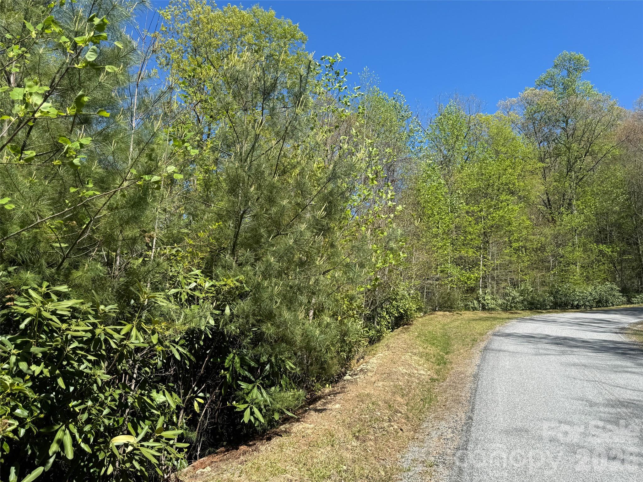 33 Reserve Road, Unit 33 Pisgah Forest, NC 28768 - Photo 13 of 15