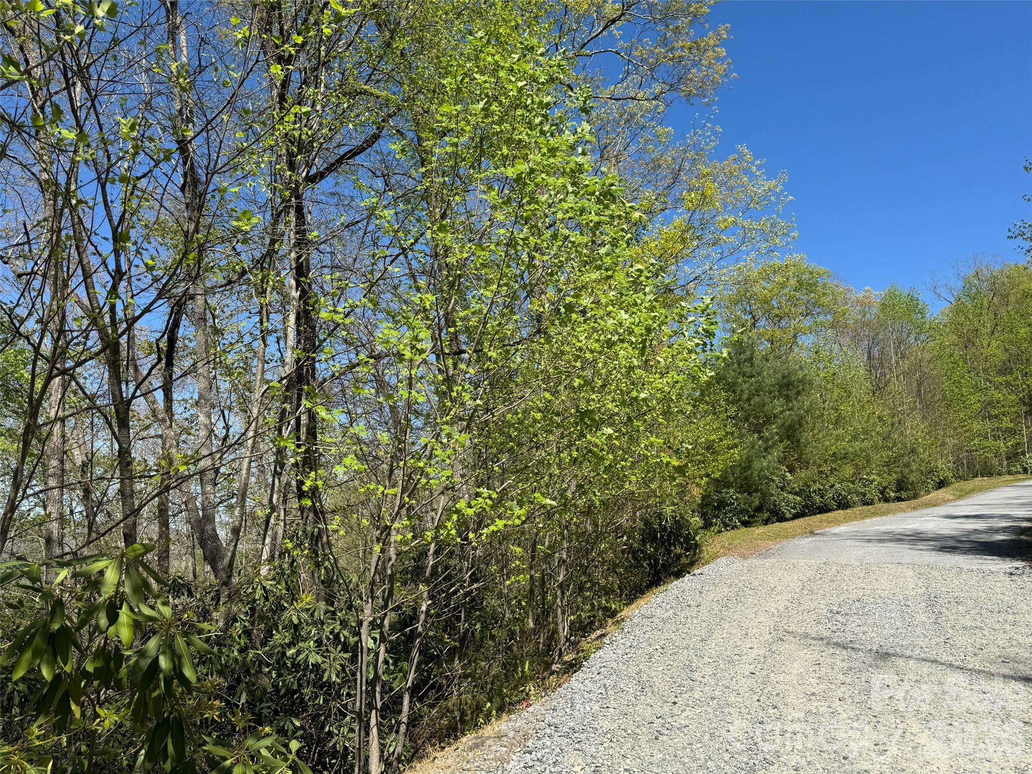 33 Reserve Road, Unit 33 Pisgah Forest, NC 28768 - Photo 14 of 15