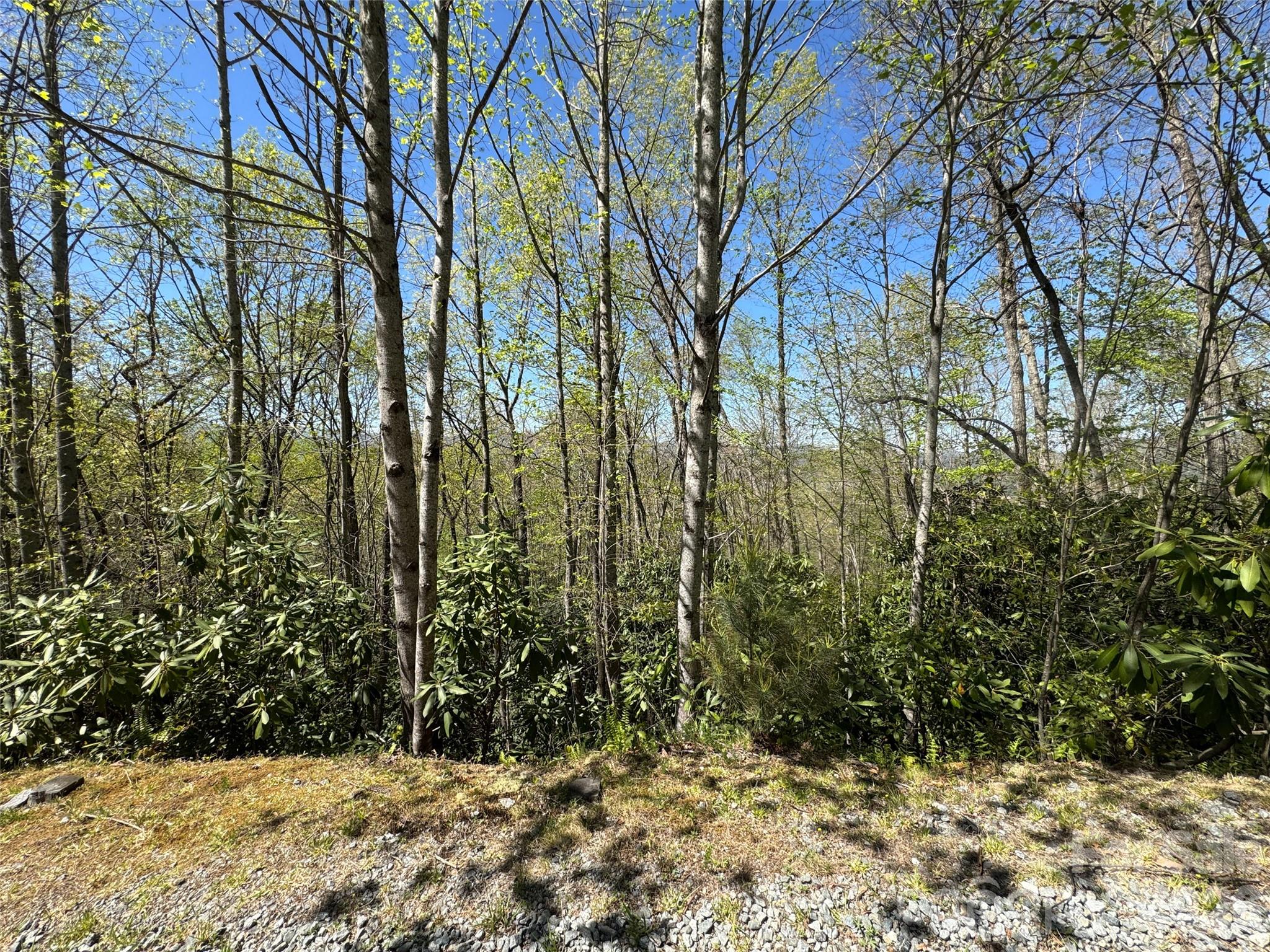 33 Reserve Road, Unit 33 Pisgah Forest, NC 28768 - Photo 15 of 15