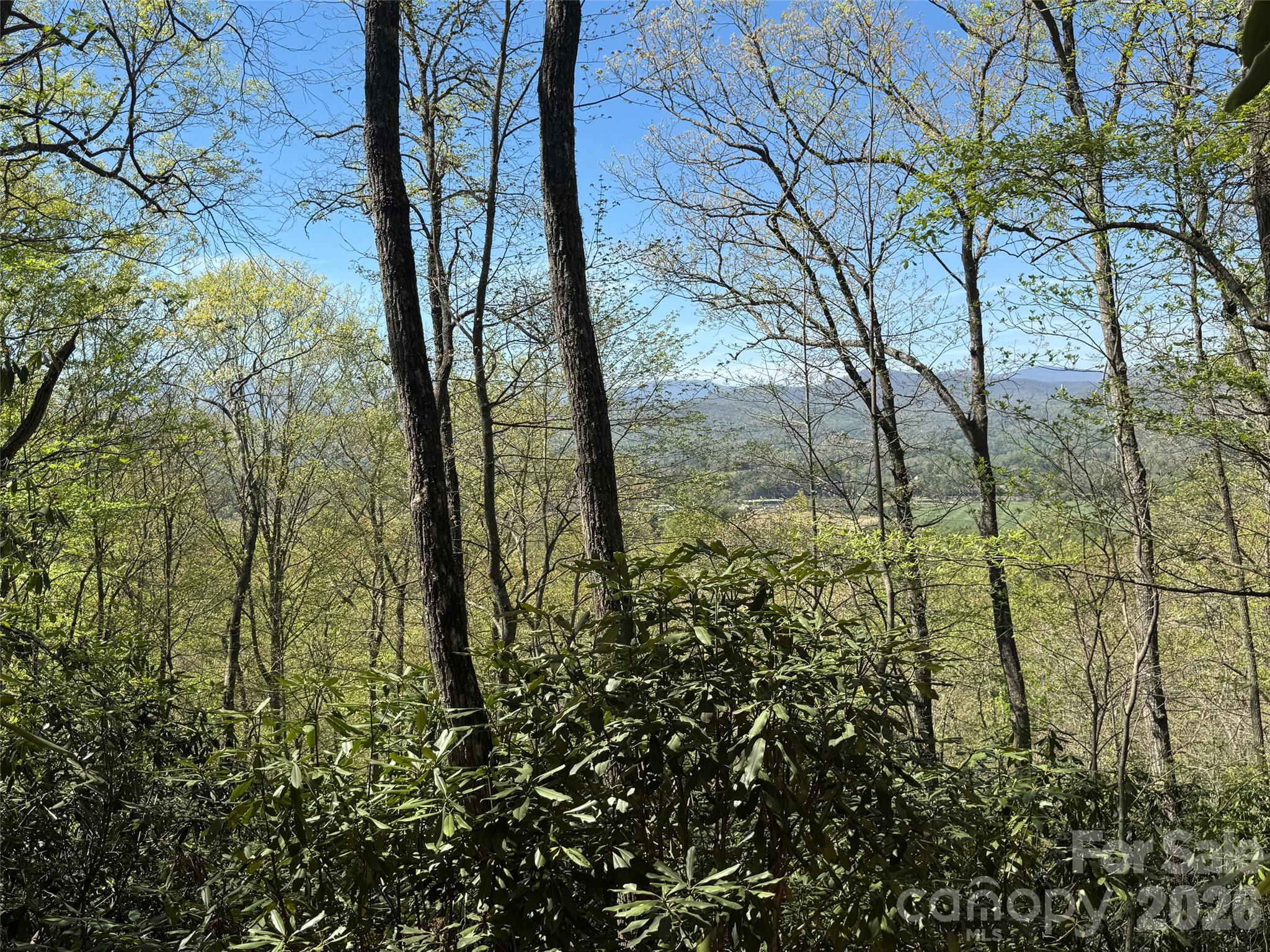 33 Reserve Road, Unit 33 Pisgah Forest, NC 28768 - Photo 2 of 15