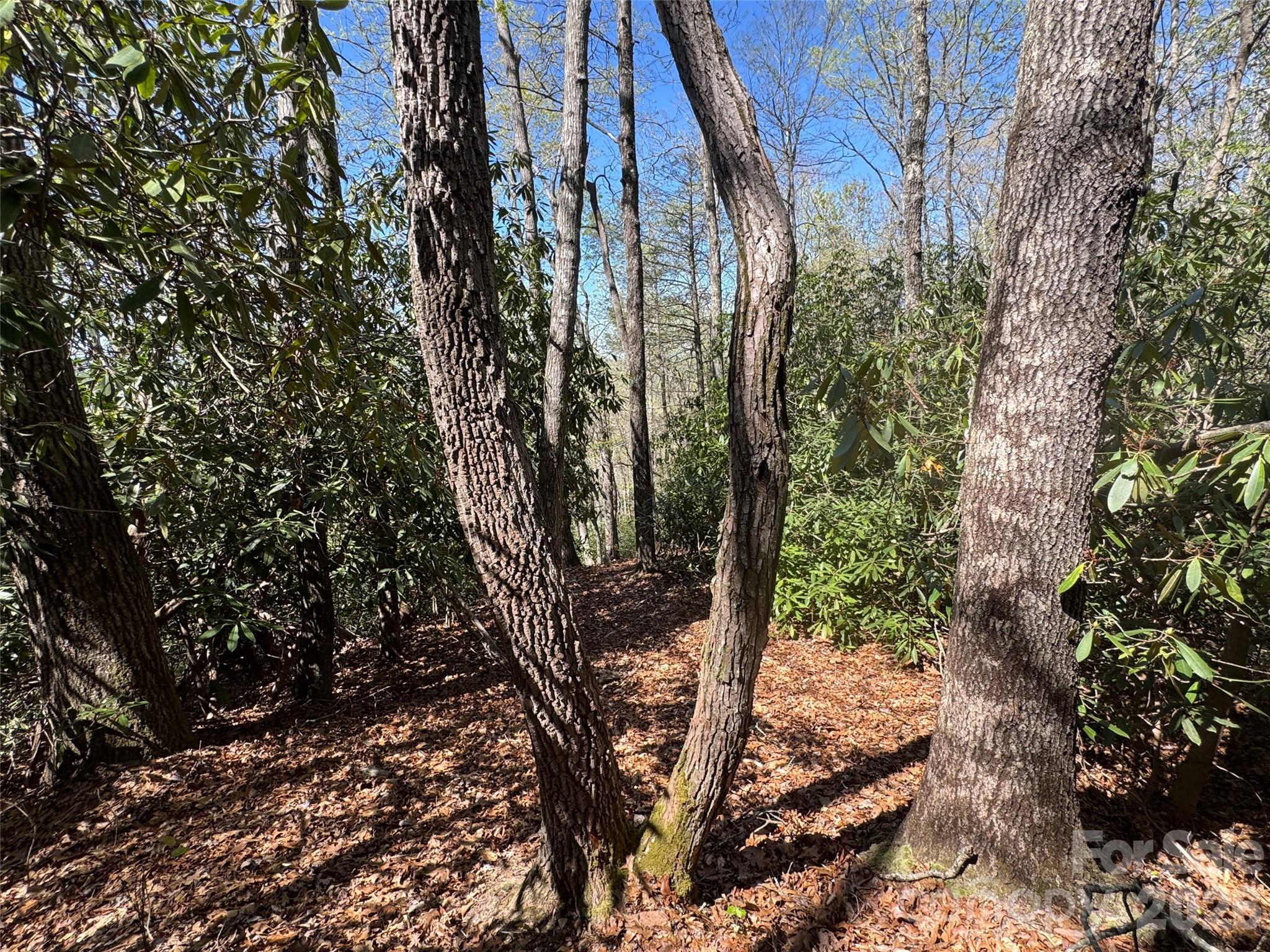 33 Reserve Road, Unit 33 Pisgah Forest, NC 28768 - Photo 3 of 15
