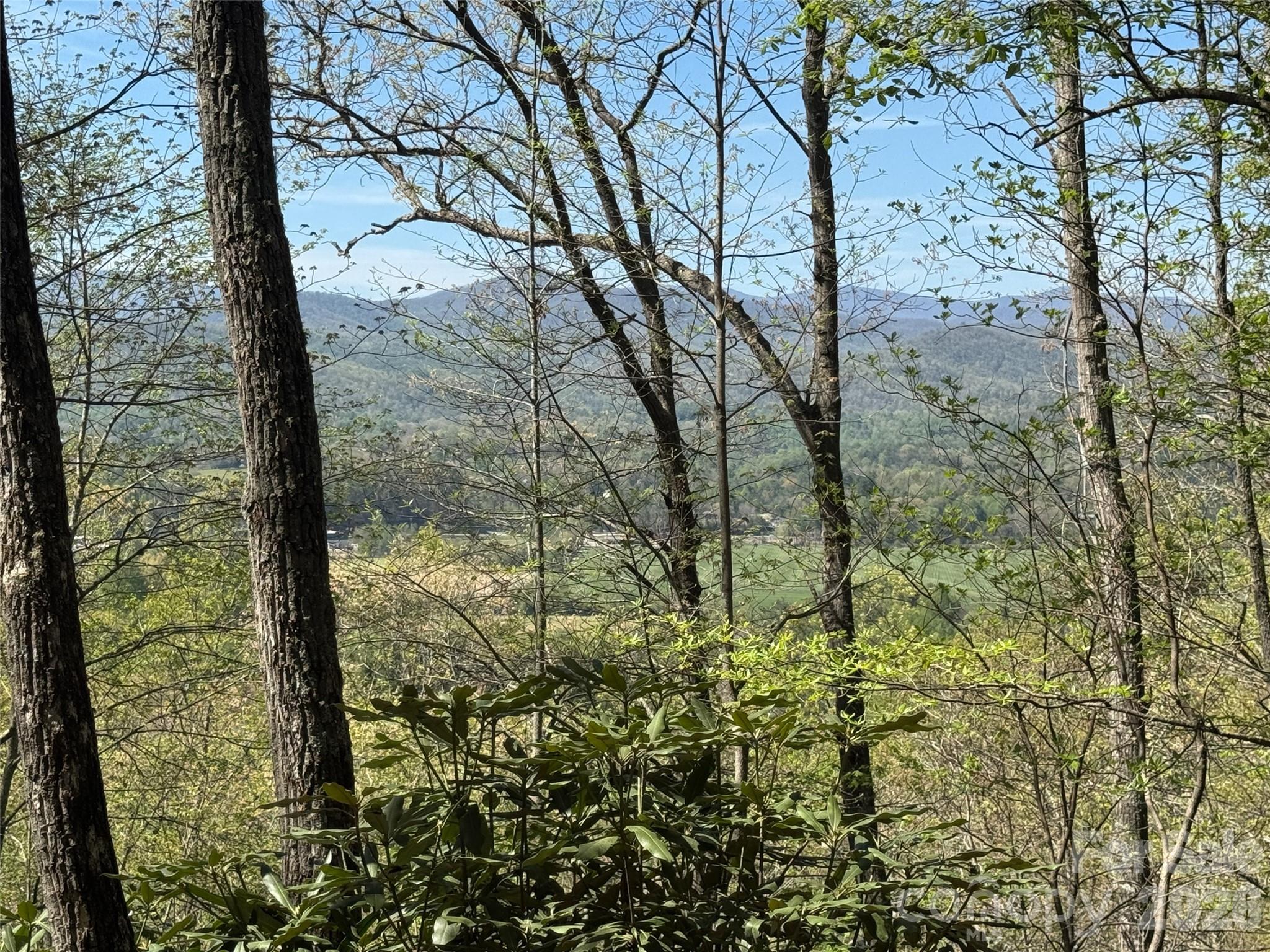 33 Reserve Road, Unit 33 Pisgah Forest, NC 28768 - Photo 5 of 15