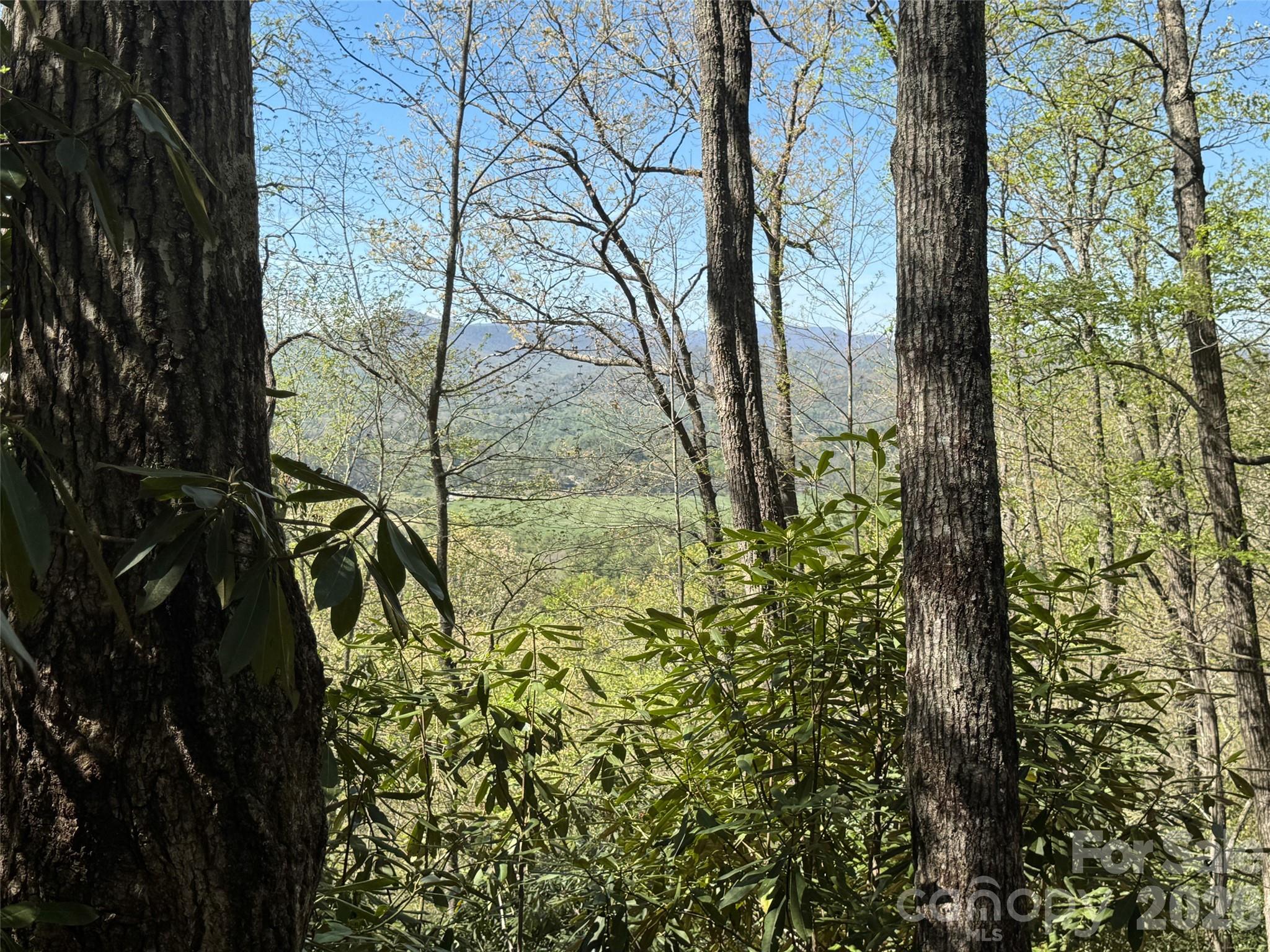 33 Reserve Road, Unit 33 Pisgah Forest, NC 28768 - Photo 6 of 15