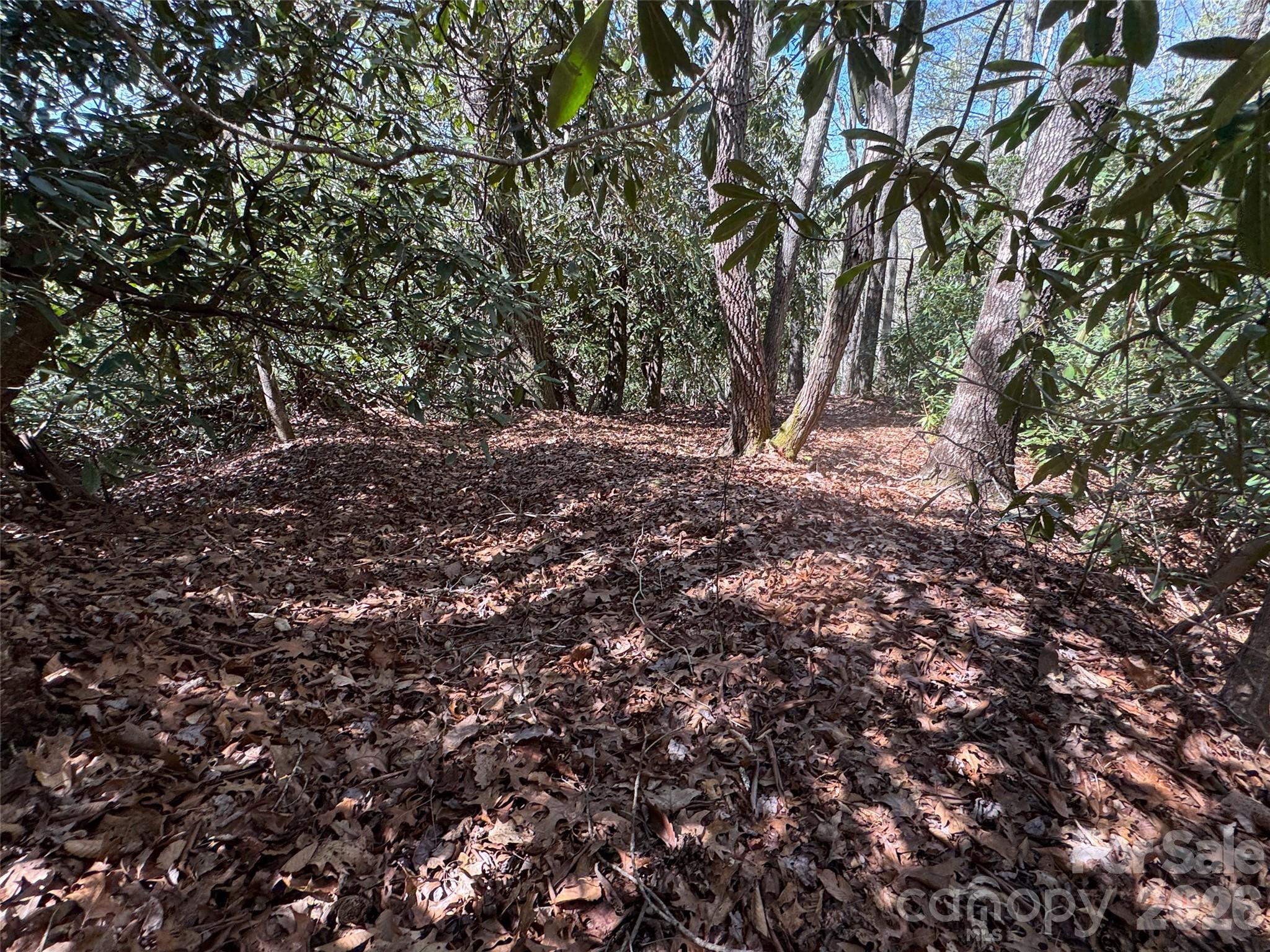 33 Reserve Road, Unit 33 Pisgah Forest, NC 28768 - Photo 8 of 15