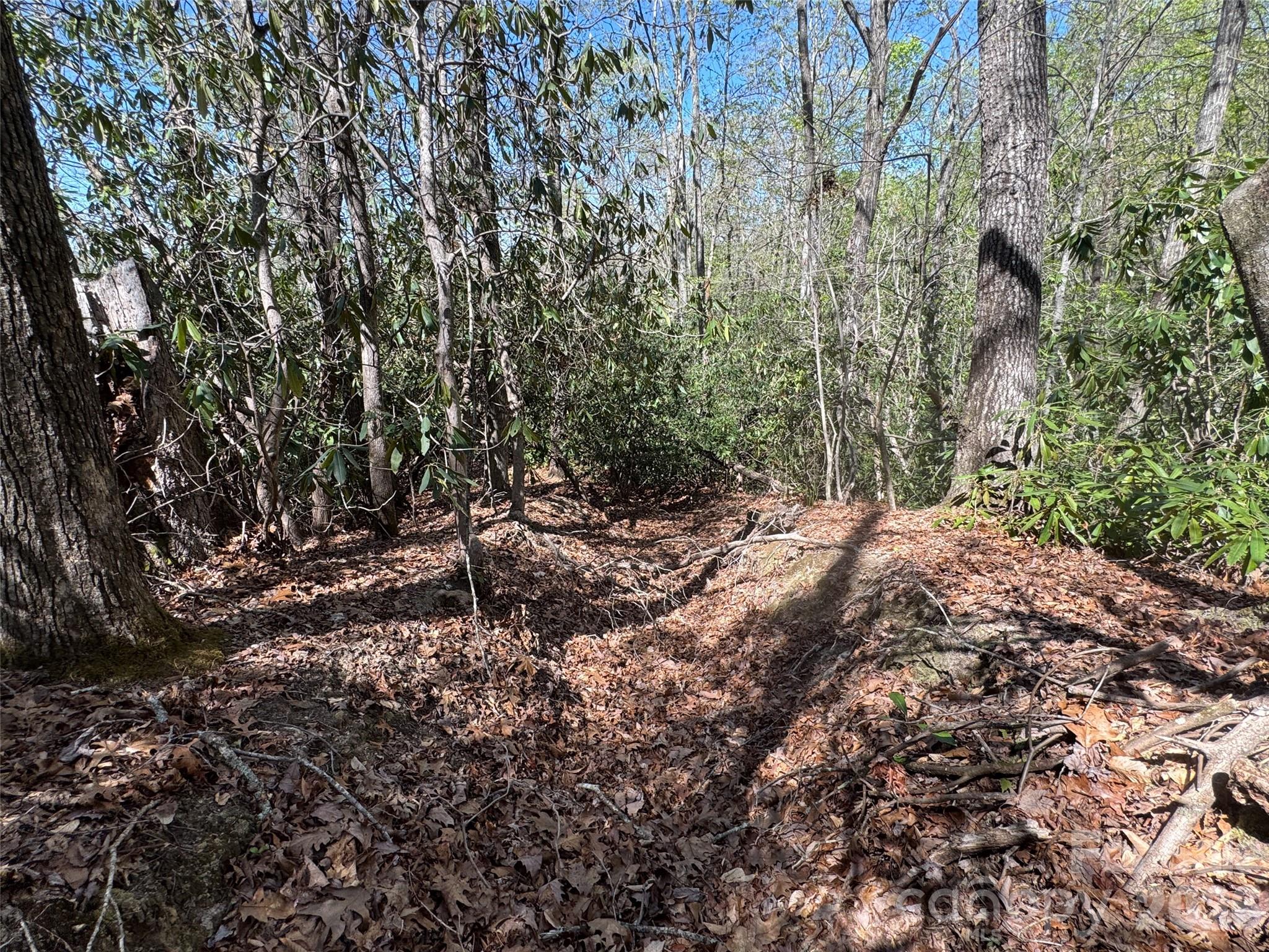 33 Reserve Road, Unit 33 Pisgah Forest, NC 28768 - Photo 9 of 15