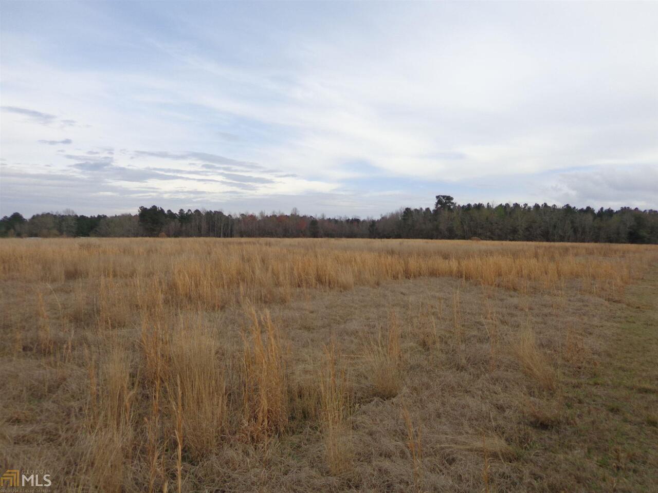 0 Brady Branch Road Sylvania, GA 30467 - Photo 1 of 1 Gallery Image 1
