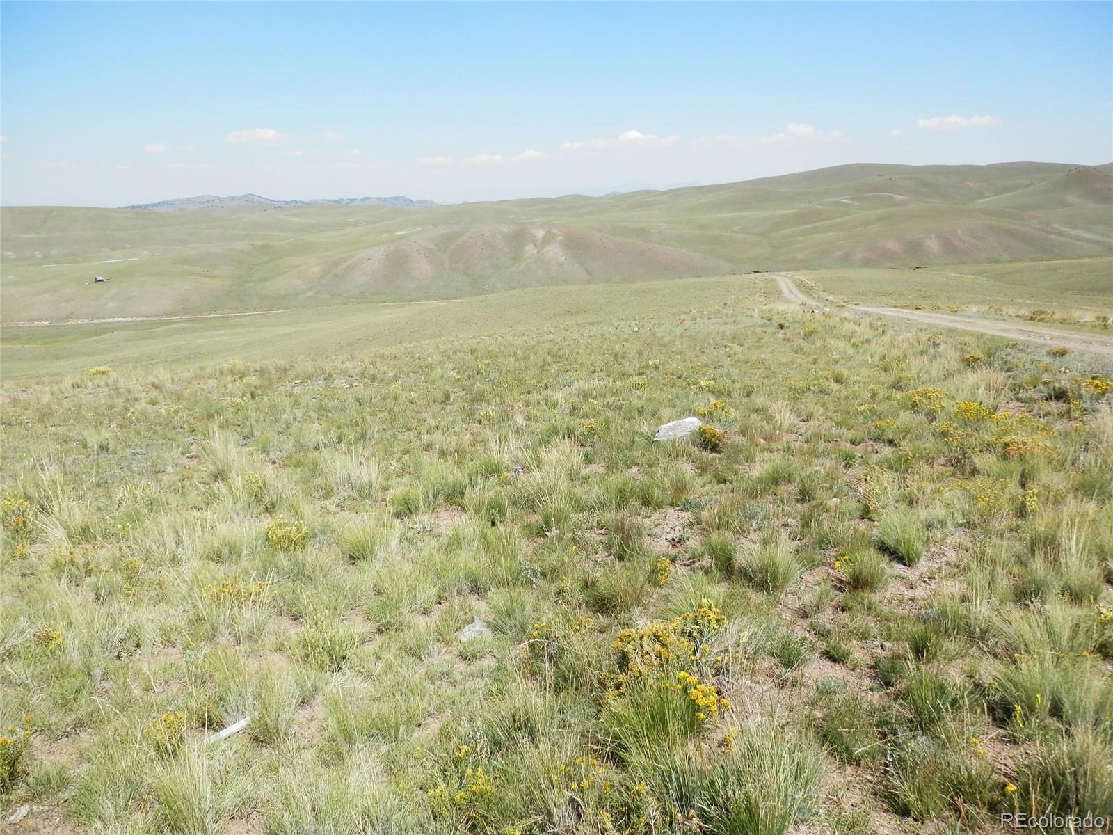 247 Uwon Road Hartsel, CO 80449 - Photo 7 of 16