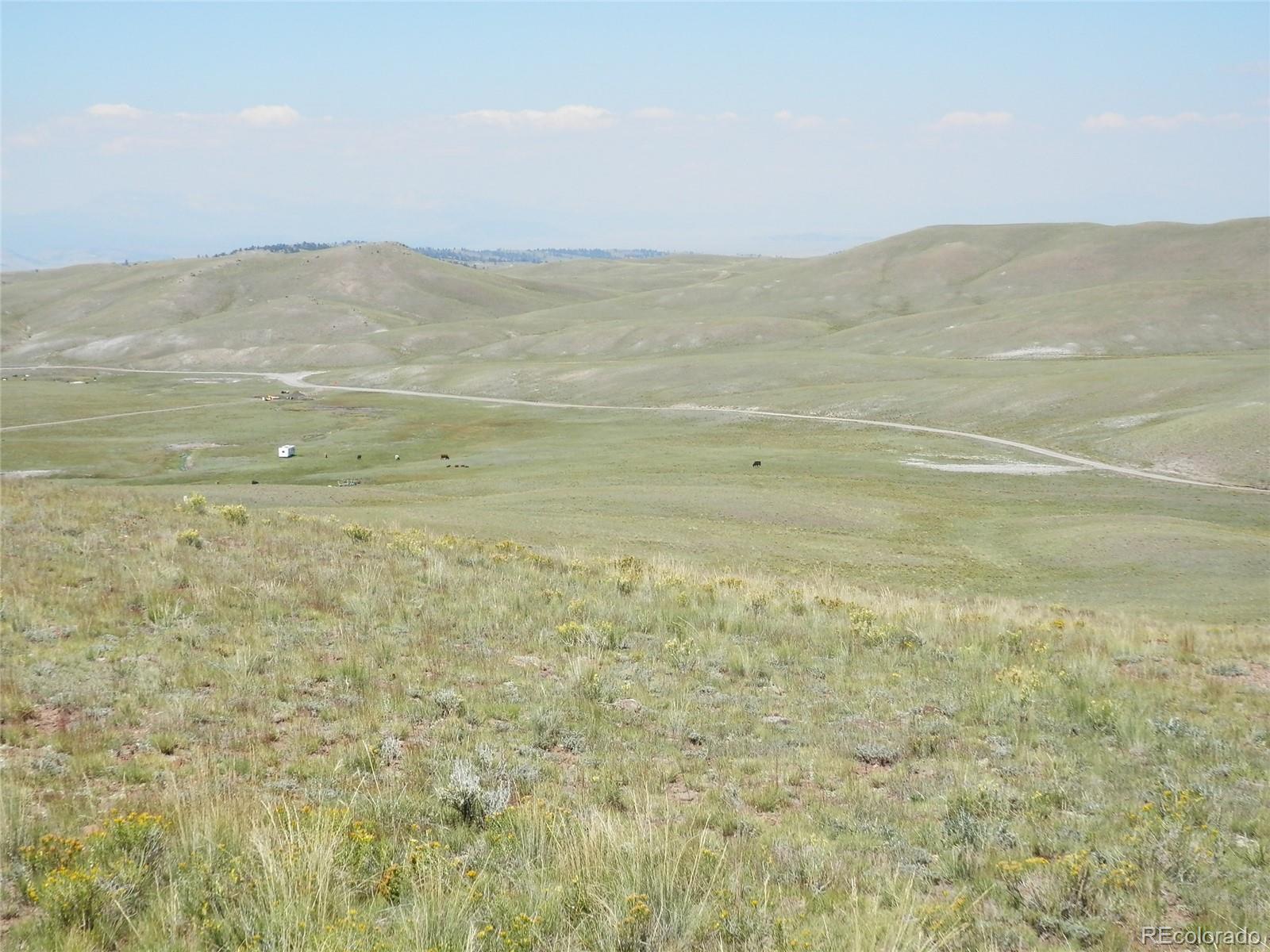 247 Uwon Road Hartsel, CO 80449 - Photo 9 of 16