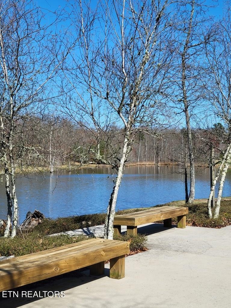 0 Tall Tree Trail Dunlap, TN 37327 - Photo 11 of 18 a backyard of a house with large trees and outdoor seating