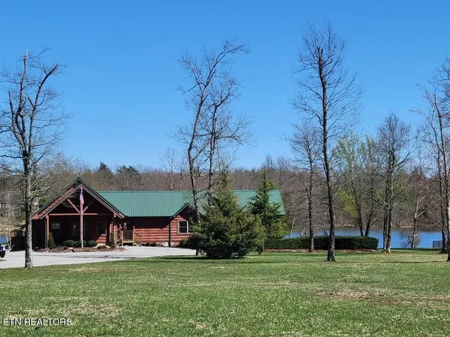 a view of a tree with a yard