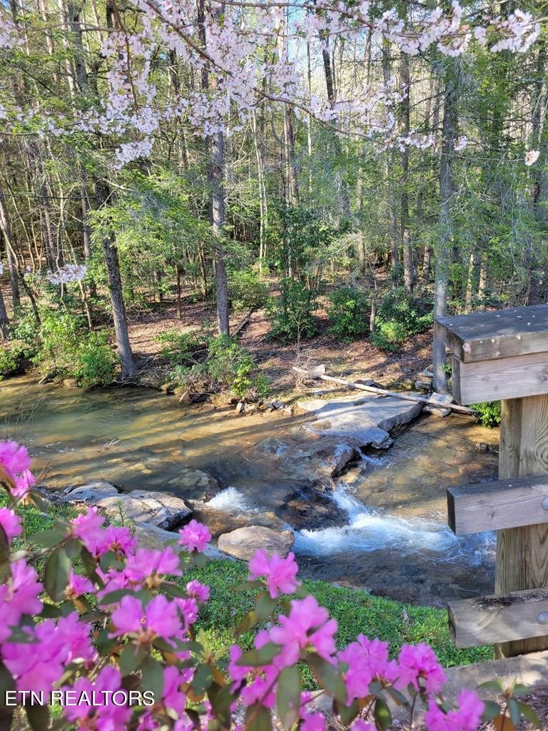 0 Tall Tree Trail Dunlap, TN 37327 - Photo 16 of 18