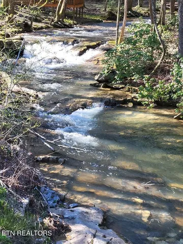 a view of a garden with an outdoor space