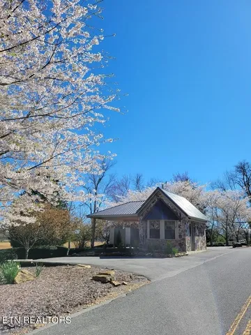 a view of a park with large trees