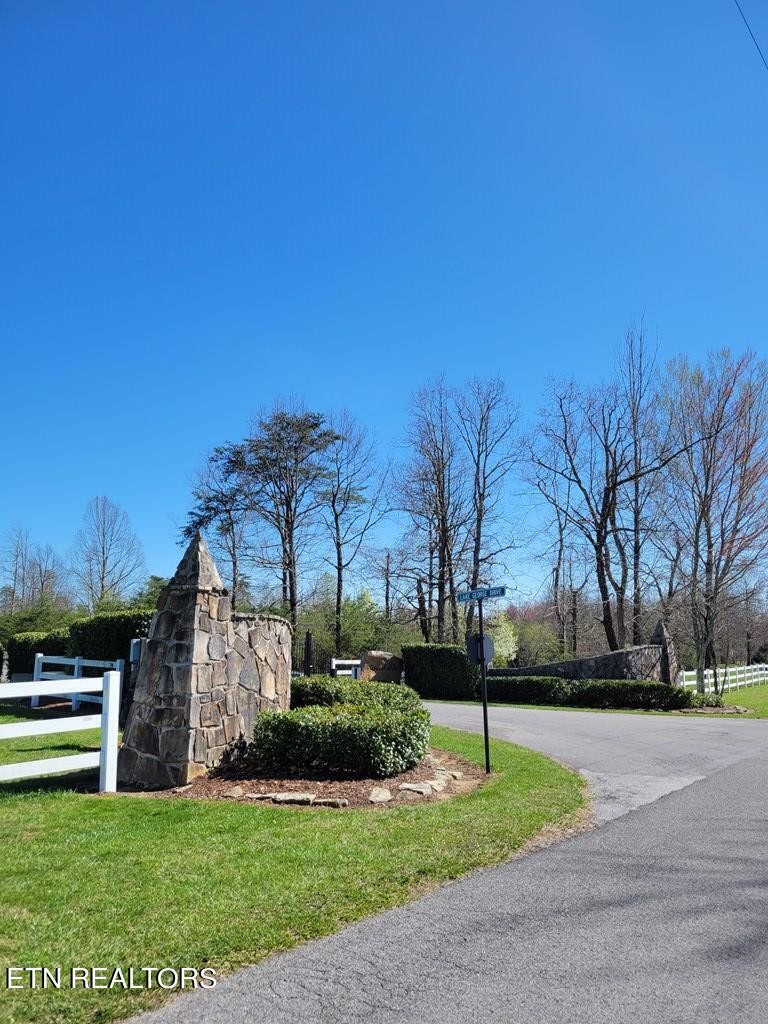 0 Tall Tree Trail Dunlap, TN 37327 - Photo 8 of 18 a view of a park with large trees