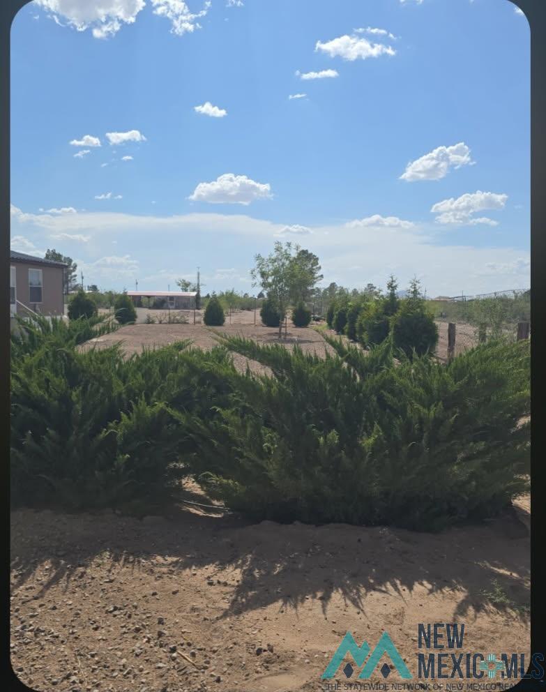 4480 Monte Road Southeast Deming, NM 88030 - Photo 17 of 44 Gallery Image 17