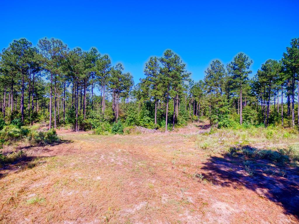 0 An County Road Palestine, TX 75801 - Photo 11 of 18