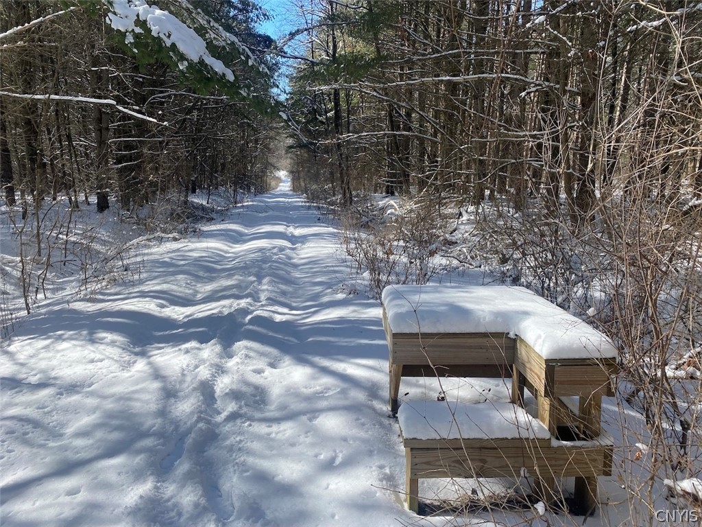 West Hill Road Belfast, NY 14711 - Photo 11 of 23