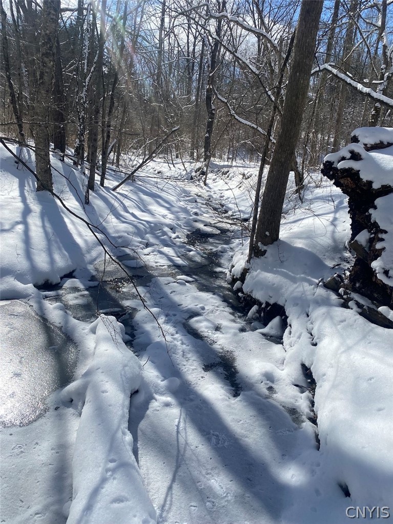 West Hill Road Belfast, NY 14711 - Photo 12 of 23