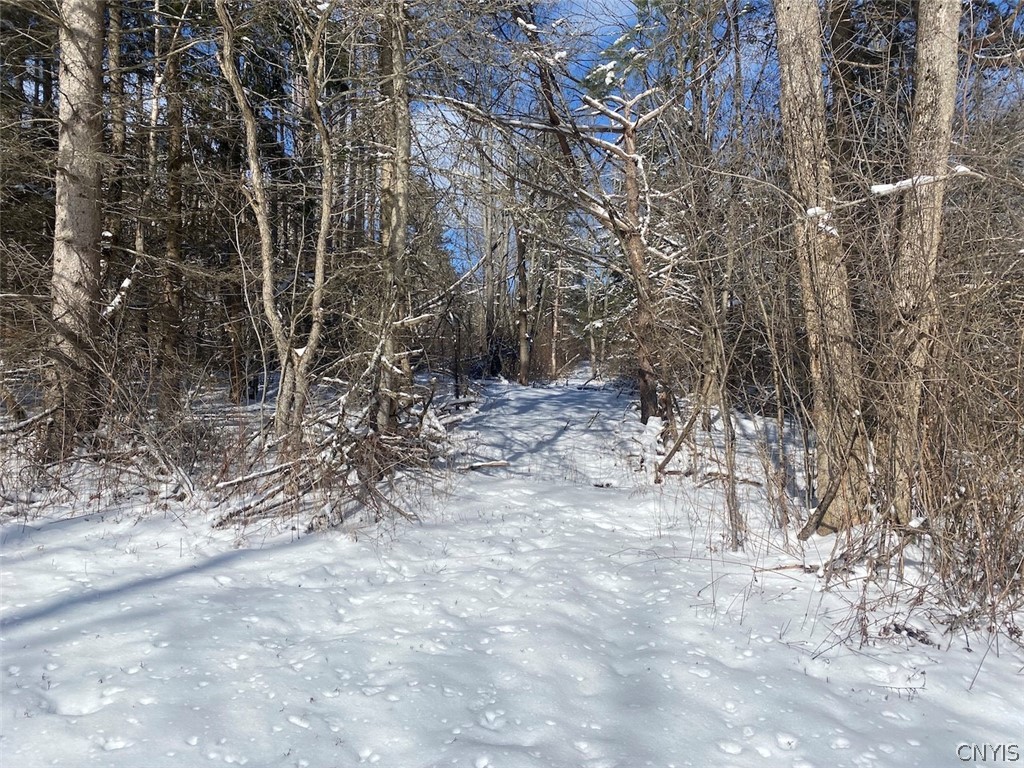 West Hill Road Belfast, NY 14711 - Photo 13 of 23