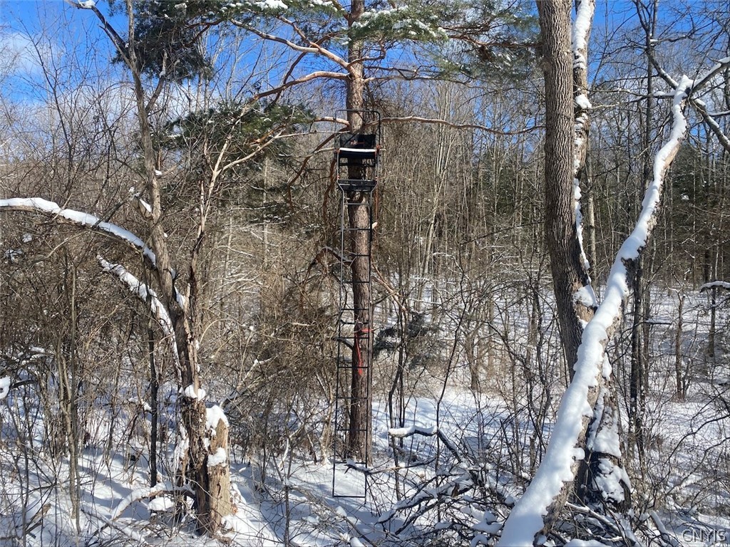 West Hill Road Belfast, NY 14711 - Photo 14 of 23