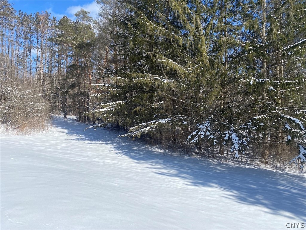 West Hill Road Belfast, NY 14711 - Photo 15 of 23