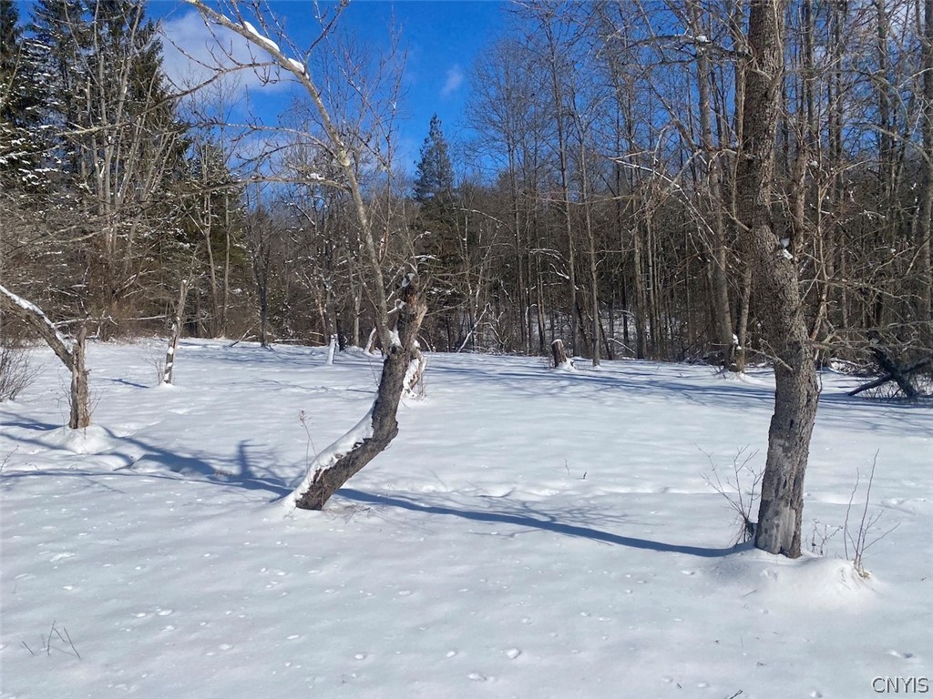 West Hill Road Belfast, NY 14711 - Photo 17 of 23