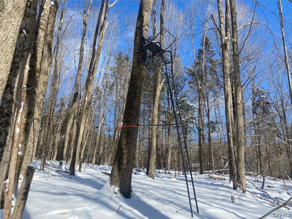 West Hill Road Belfast, NY 14711 - Photo 18 of 23