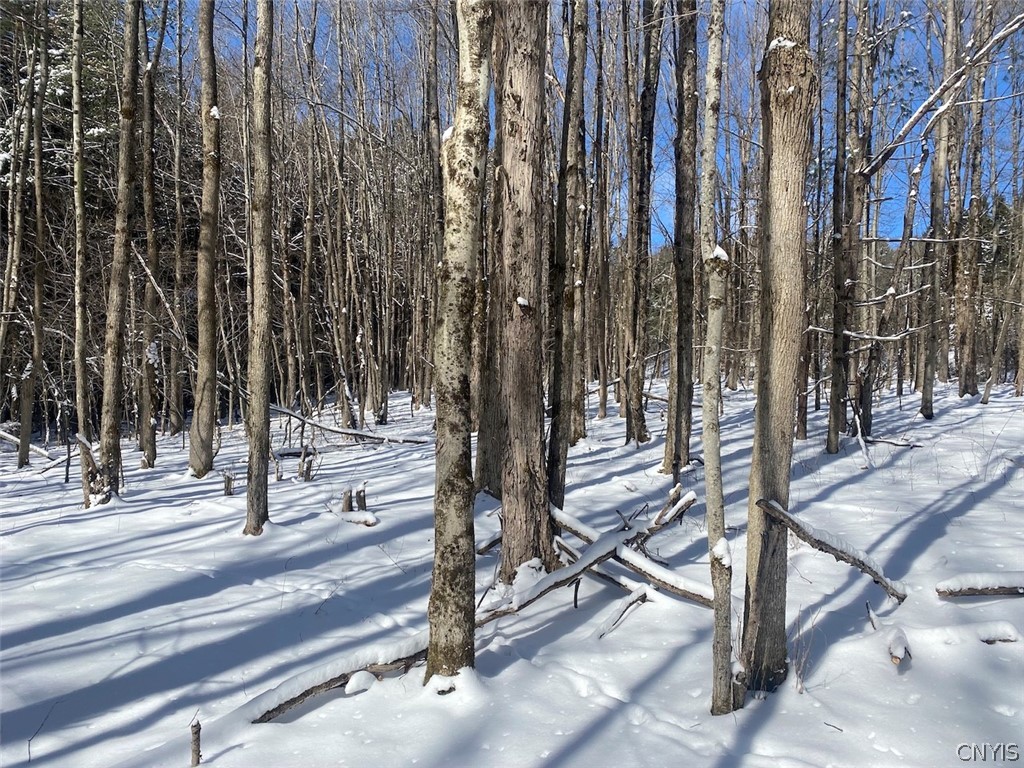West Hill Road Belfast, NY 14711 - Photo 19 of 23
