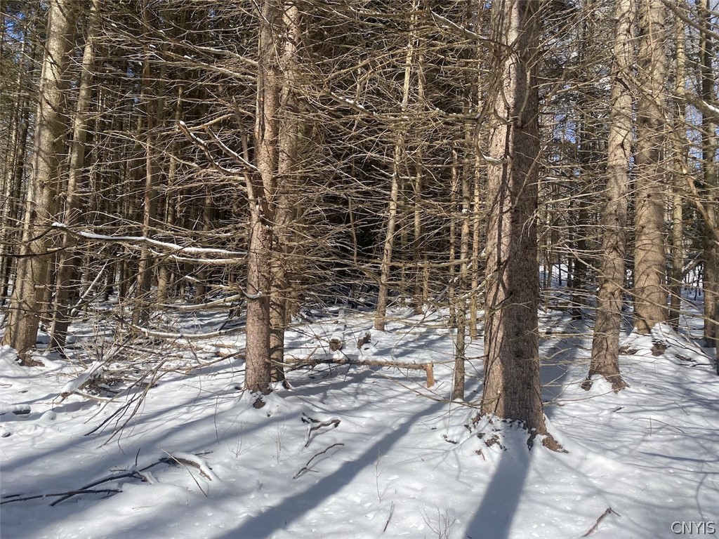 West Hill Road Belfast, NY 14711 - Photo 20 of 23