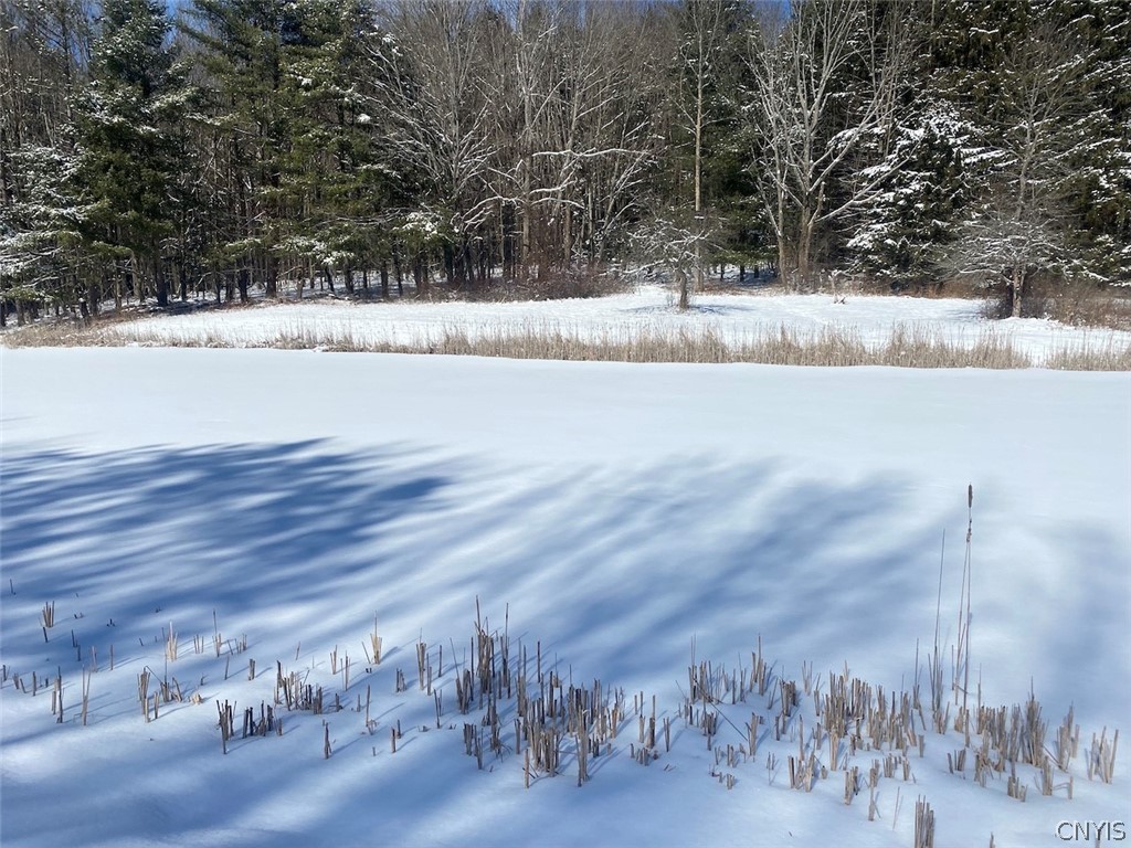 West Hill Road Belfast, NY 14711 - Photo 3 of 23