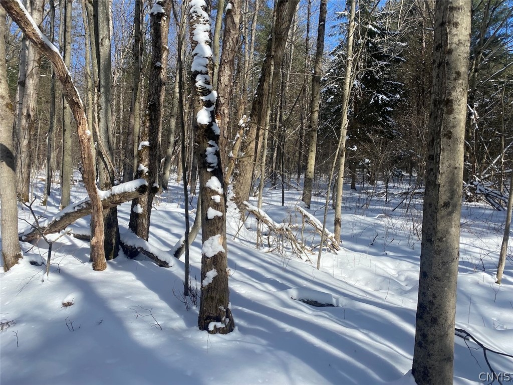 West Hill Road Belfast, NY 14711 - Photo 4 of 23