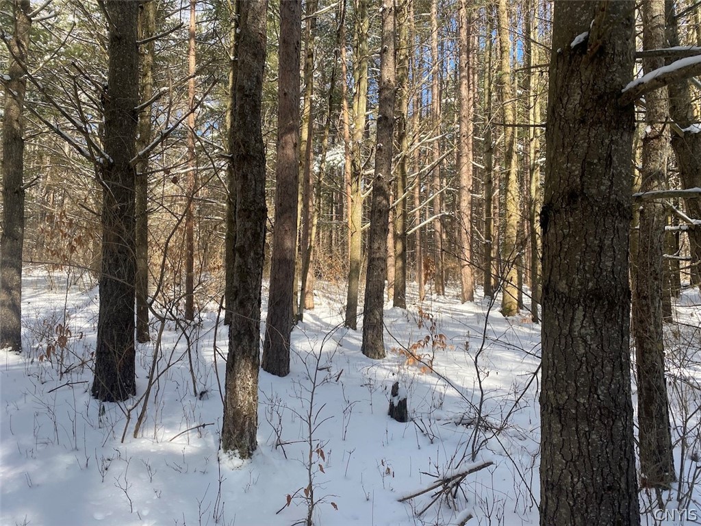 West Hill Road Belfast, NY 14711 - Photo 5 of 23