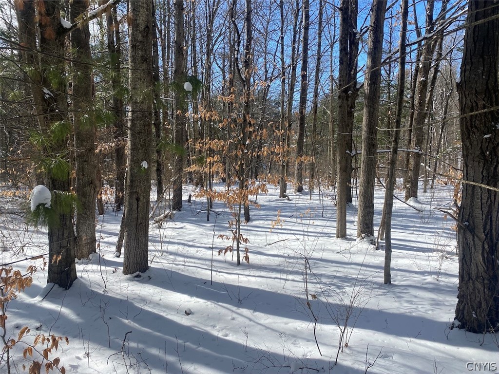 West Hill Road Belfast, NY 14711 - Photo 6 of 23