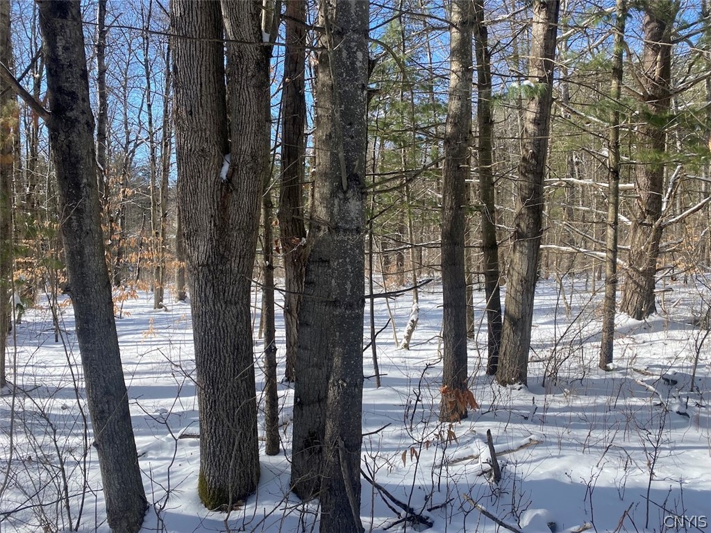 West Hill Road Belfast, NY 14711 - Photo 8 of 23