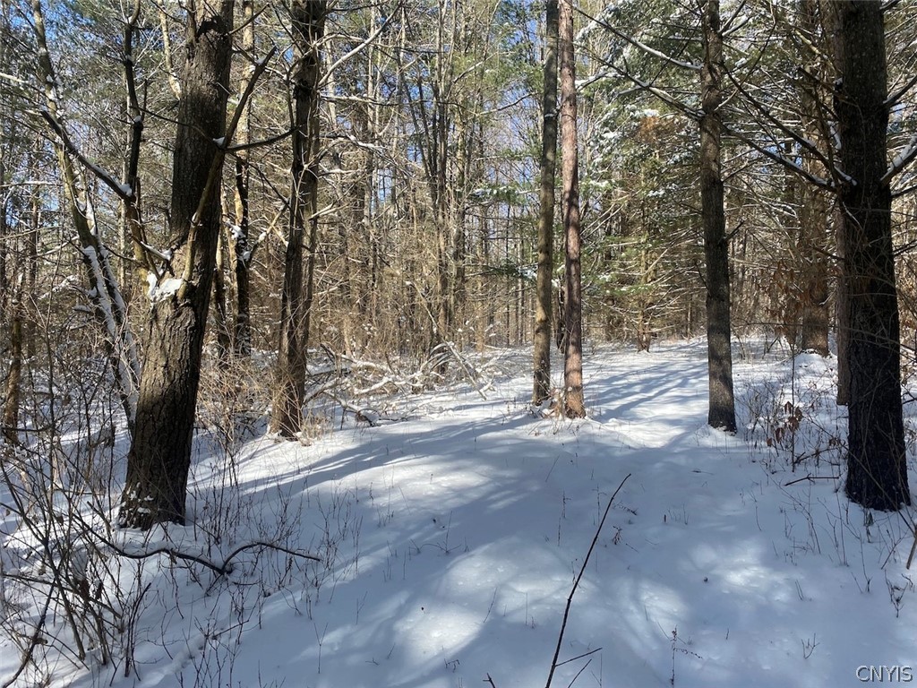 West Hill Road Belfast, NY 14711 - Photo 9 of 23