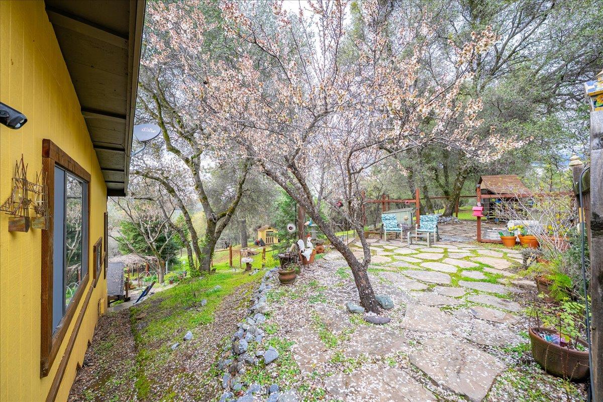 2244 Windmill Court Cool, CA 95614 - Photo 48 of 73