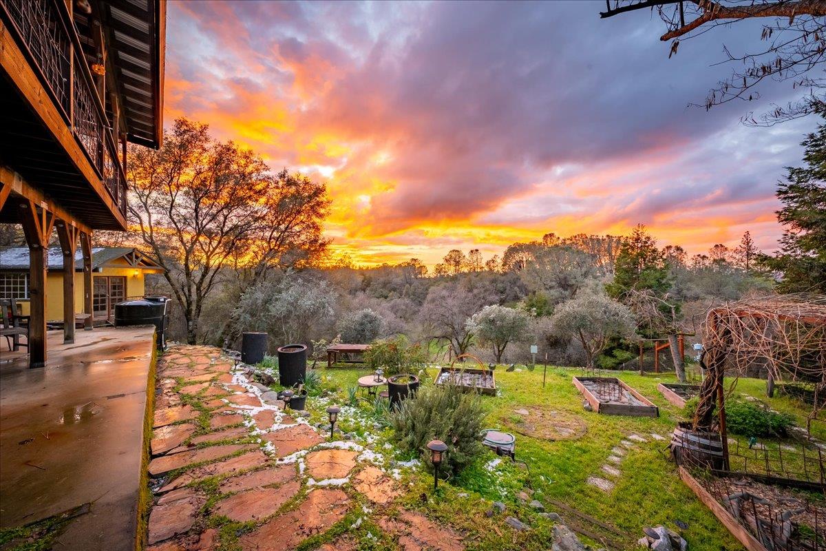 2244 Windmill Court Cool, CA 95614 - Photo 5 of 73 a view of a yard with wooden fence