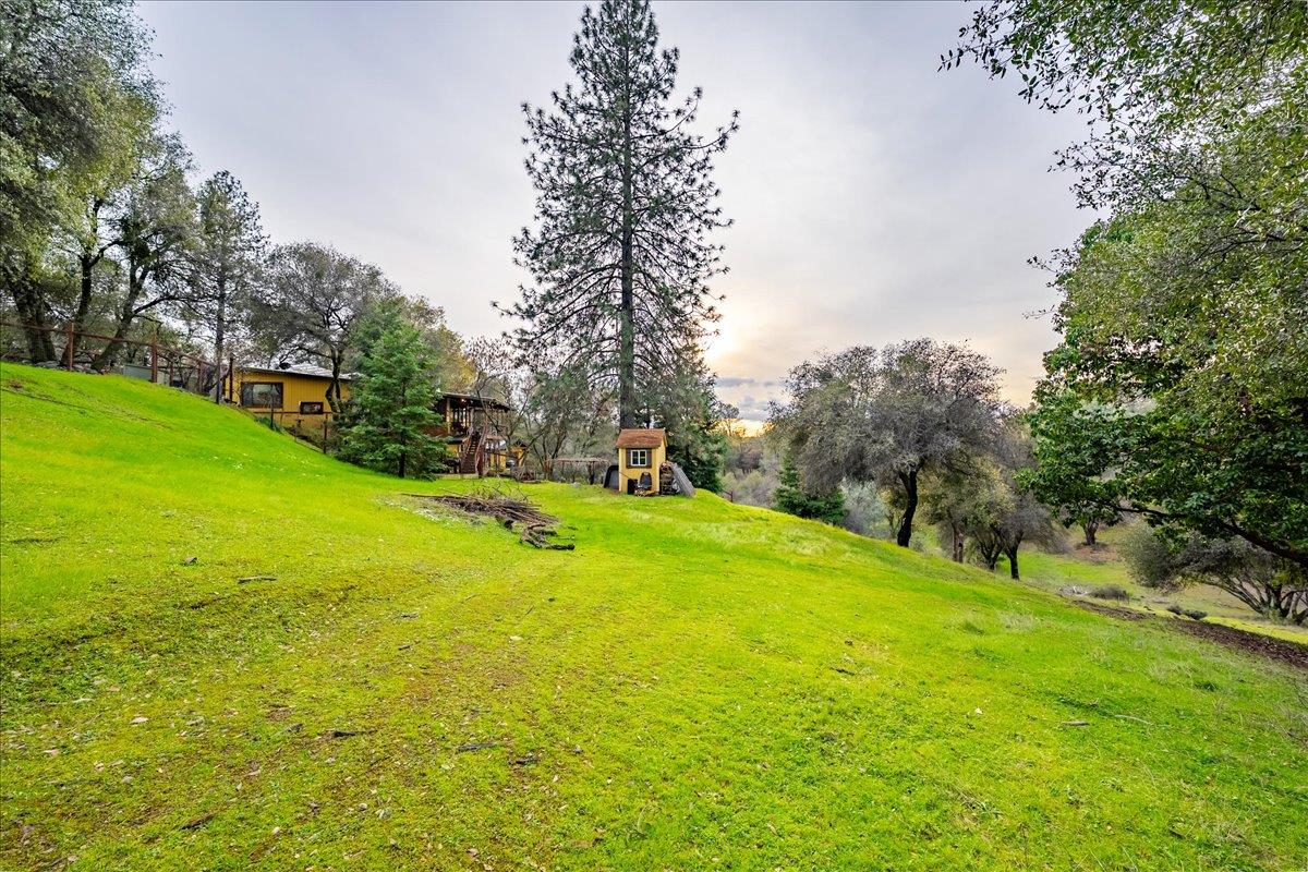 2244 Windmill Court Cool, CA 95614 - Photo 56 of 73