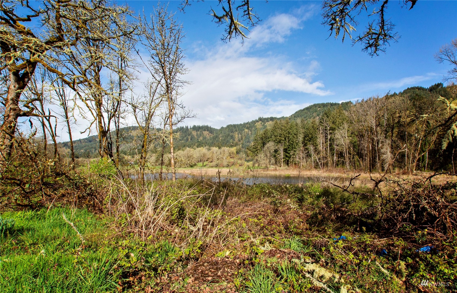 12128 Hunter Loop Road Southwest Rochester, WA 98579 - Photo 25 of 31 a view of mountain view with lots of trees
