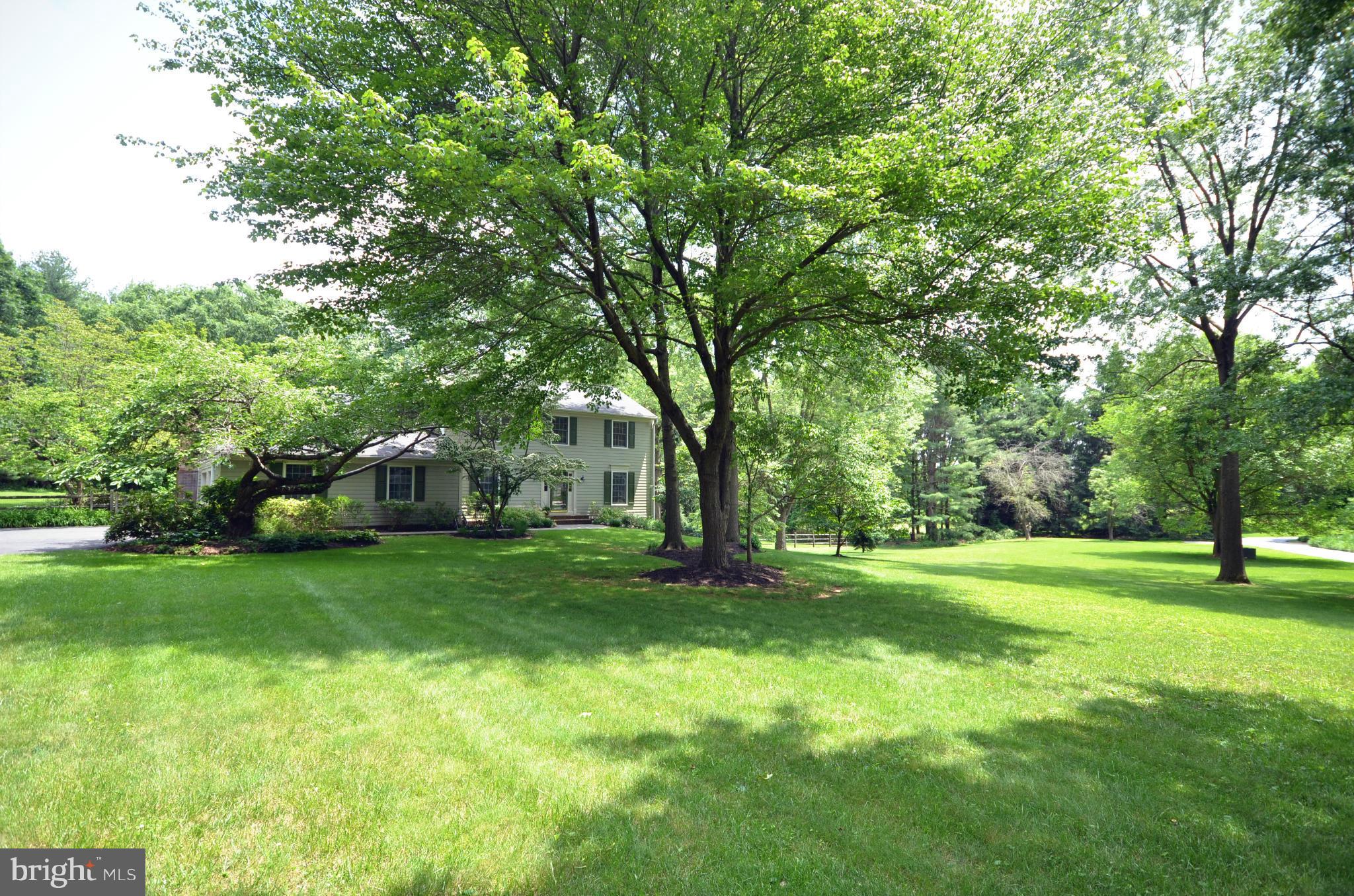 1909 Ridge Road Reisterstown, MD 21136 - Photo 3 of 29 a view of a big yard with plants and large trees