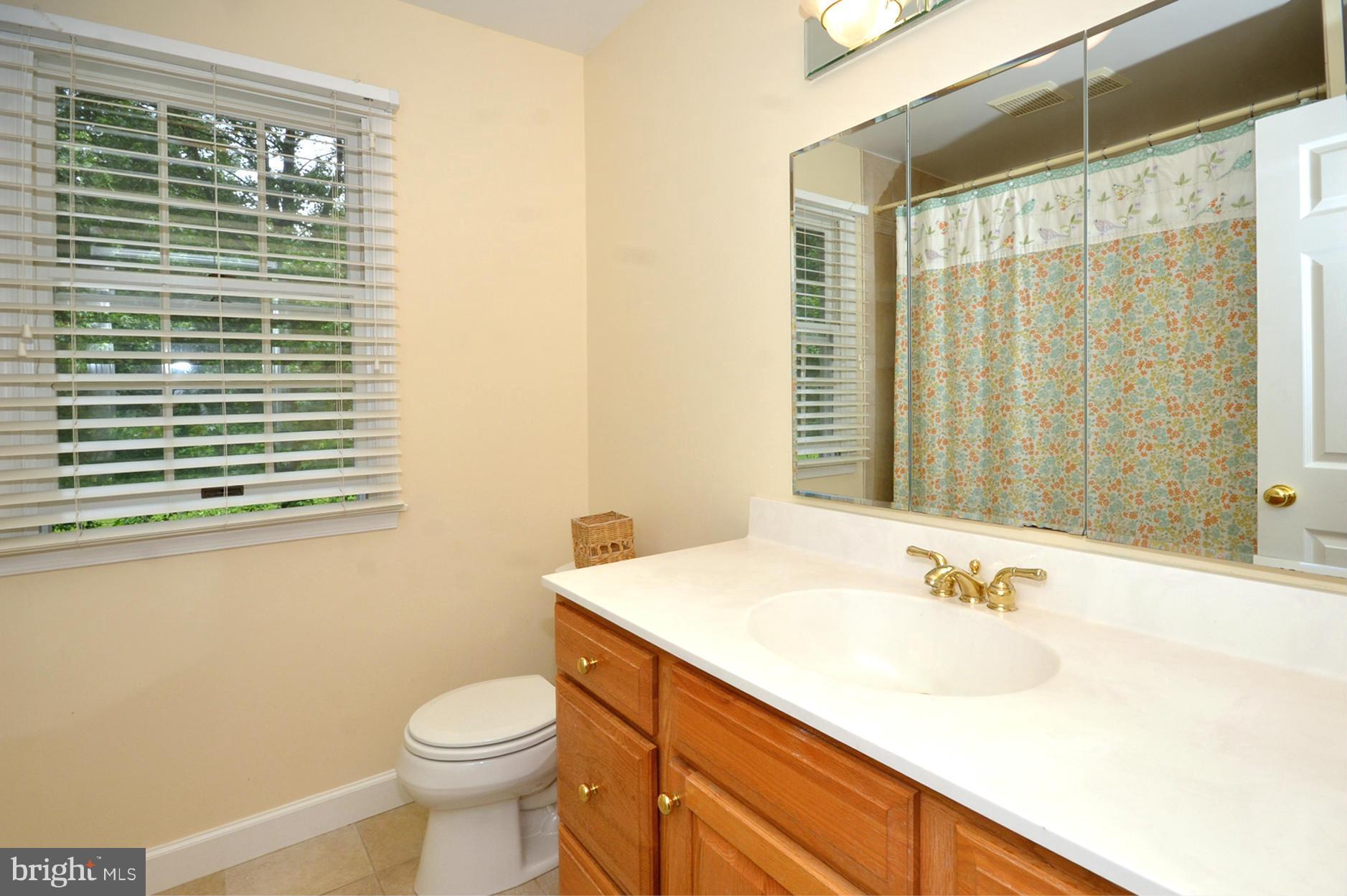 1909 Ridge Road Reisterstown, MD 21136 - Photo 22 of 29 a bathroom with a sink and a toilet