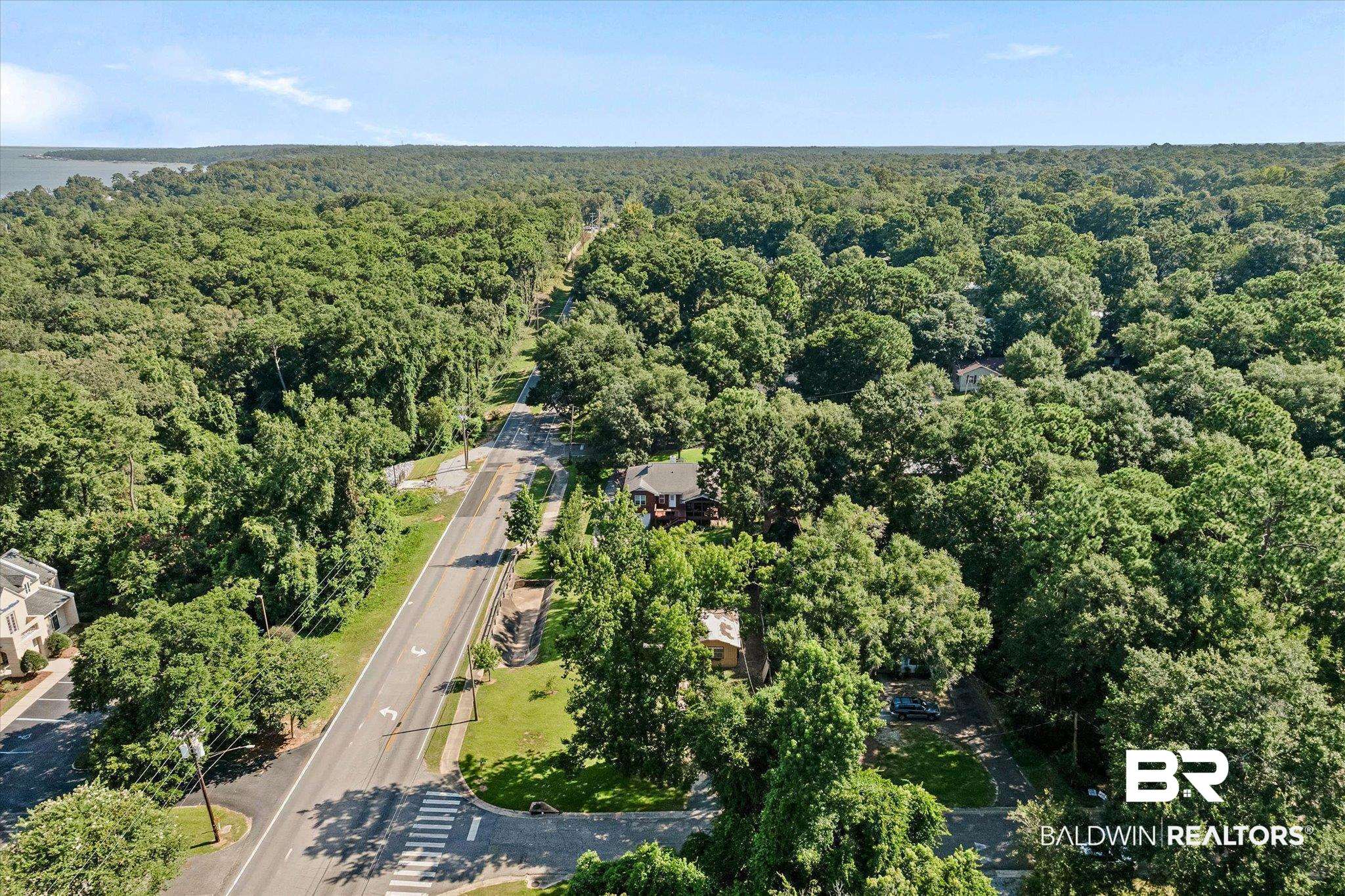 401 Frederick Avenue Fairhope, AL 36532 - Photo 31 of 36 Aerial perspective showcasing a verdant landscape with extensive tree cover
